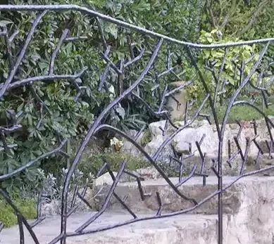 Rampes et escaliers