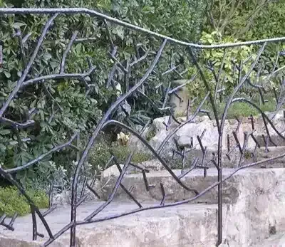 Rampes et escaliers