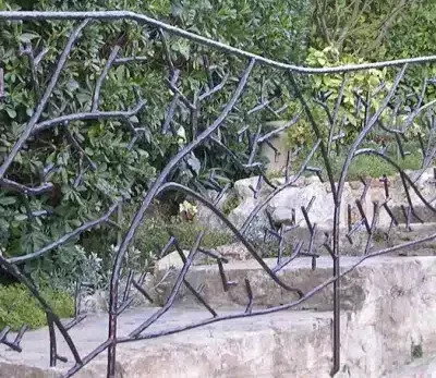 Rampes et escaliers