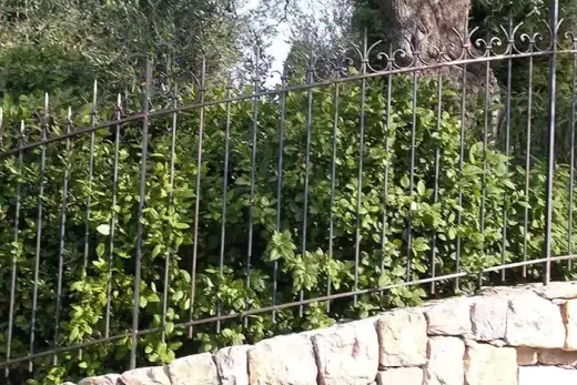 Clôtures